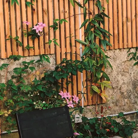 Maison 3 - Jardin De L'eveche Ferienhaus *